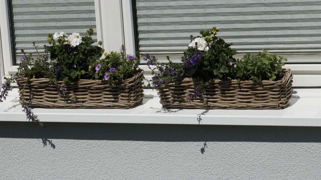 Ferienwohnung Wiesenblick Nahe Region Celle Und Hannover ブーフホルツ・アラー エクステリア 写真
