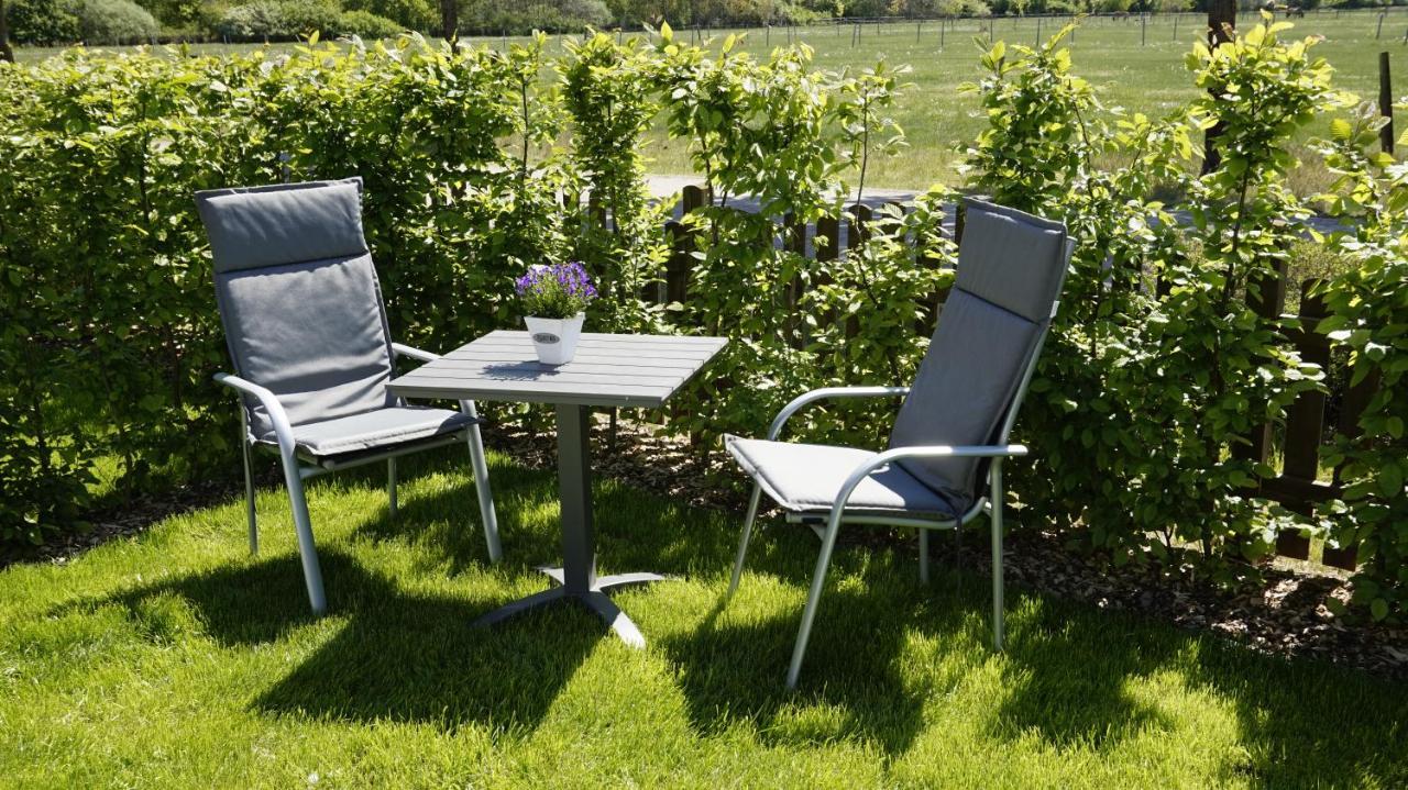 Ferienwohnung Wiesenblick Nahe Region Celle Und Hannover ブーフホルツ・アラー エクステリア 写真