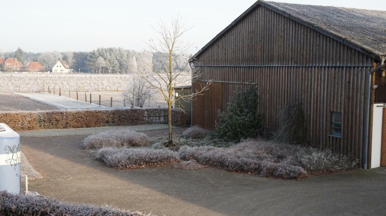 Ferienwohnung Wiesenblick Nahe Region Celle Und Hannover ブーフホルツ・アラー エクステリア 写真